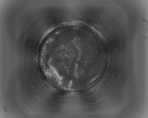 X0000091201166200709061407