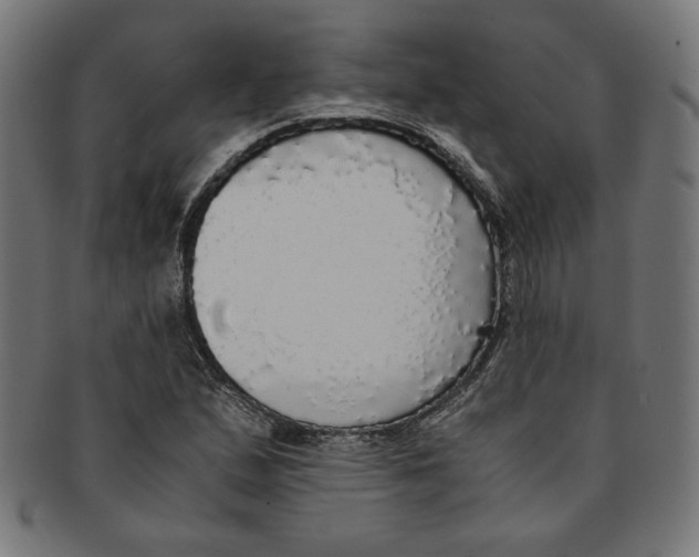 X0000091201167200709061407