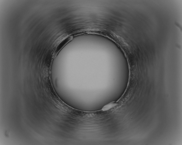 X0000091201169200709061407