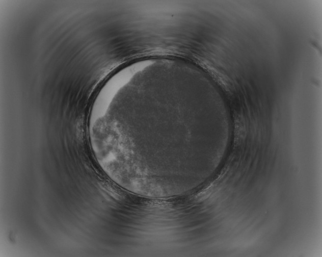 X0000091201170200709061407