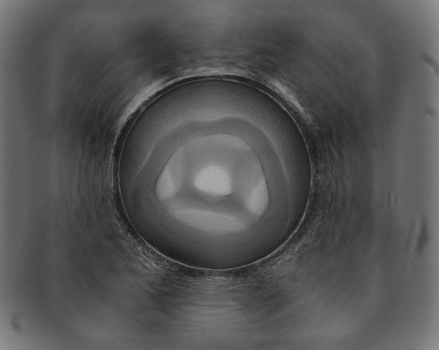 X0000091201173200709061407