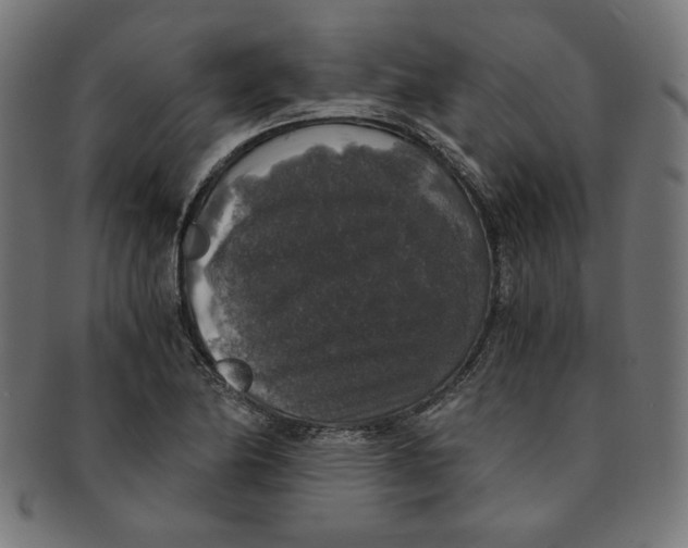 X0000091201174200709061407