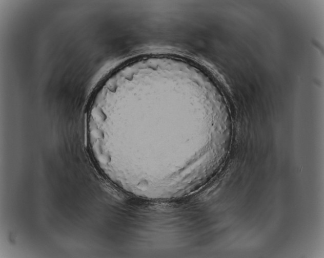 X0000091201175200709061407