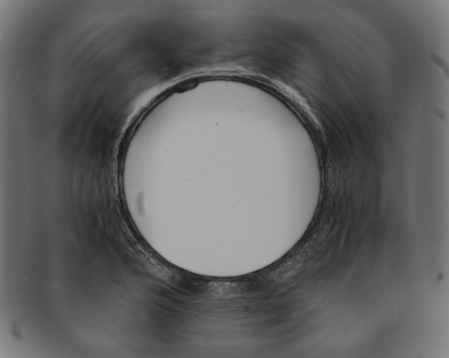 X0000091201176200709061407