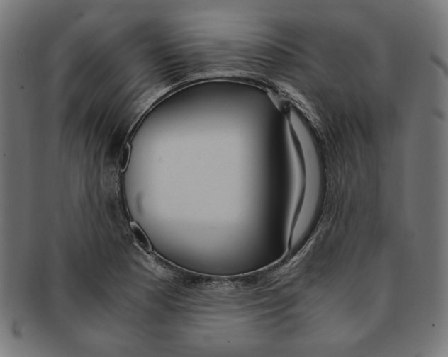 X0000091201177200709061407