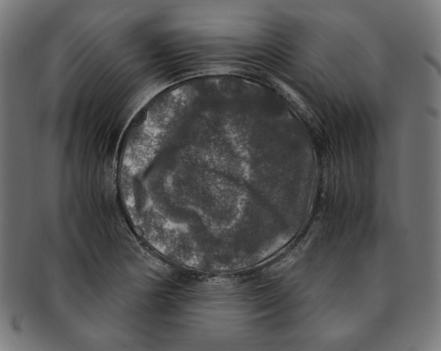 X0000091201178200709061407