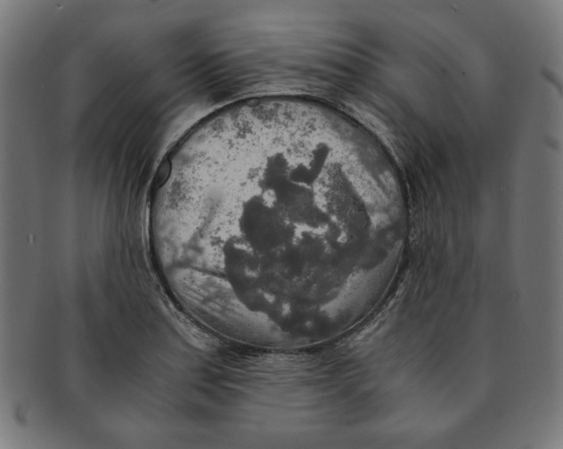 X0000091201179200709061407