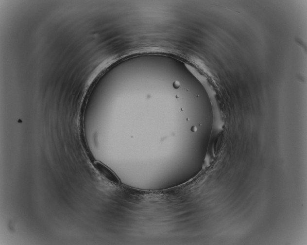 X0000091201181200709061407