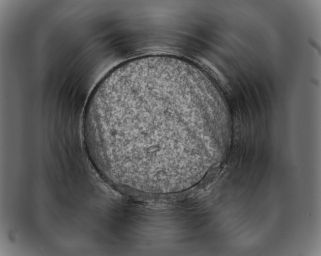X0000091201182200709061407