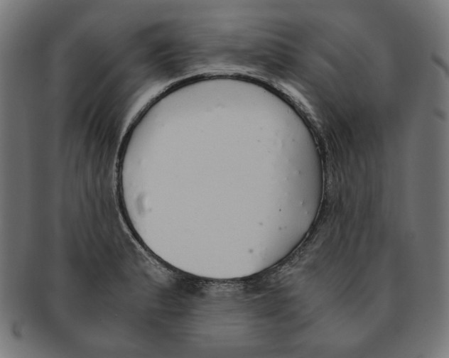 X0000091201183200709061407