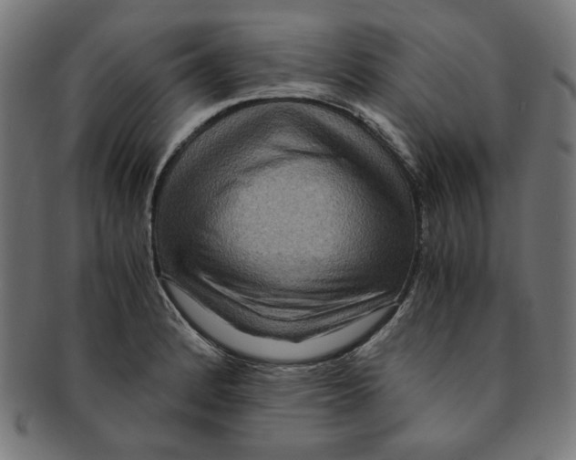 X0000091201184200709061407