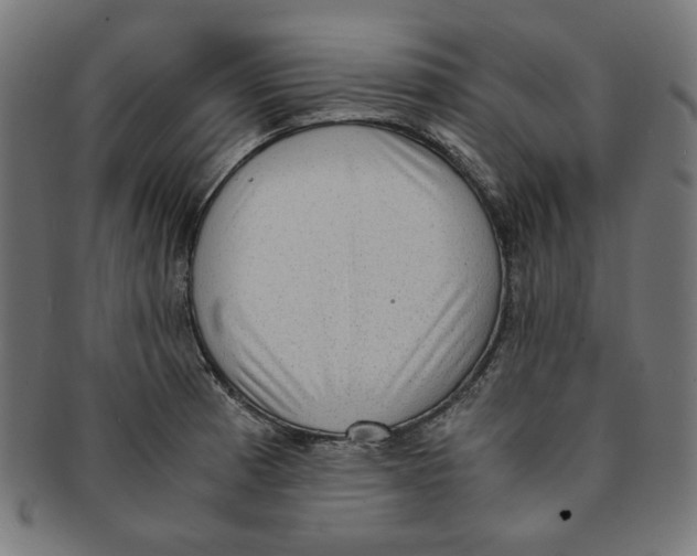 X0000091201185200709061407