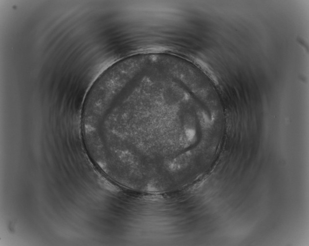 X0000091201186200709061407