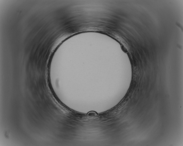 X0000091201187200709061407