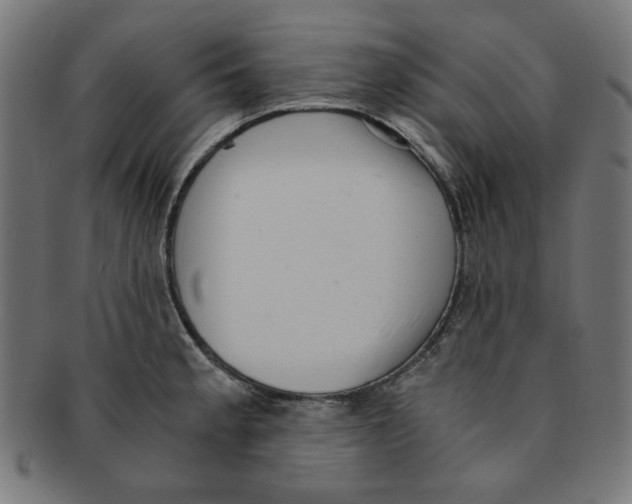 X0000091201189200709061407