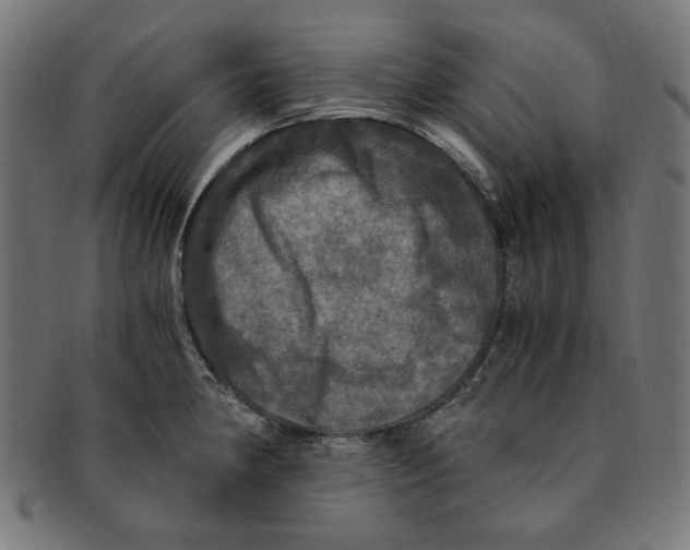 X0000091201190200709061407