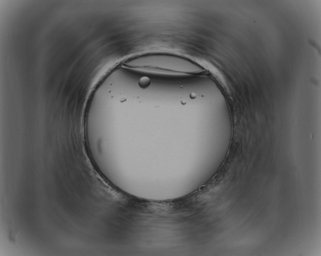 X0000091201191200709061407