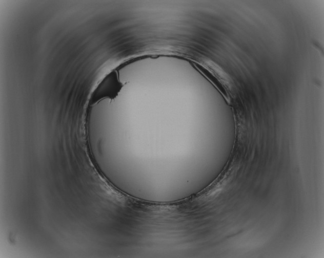 X0000091201192200709061407
