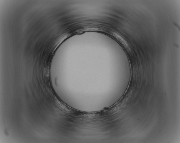 X0000091201193200709061407