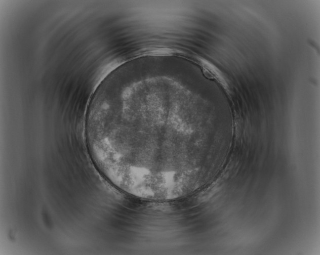 X0000091201194200709061407