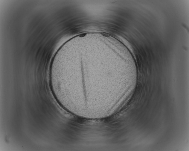 X0000091201195200709061407