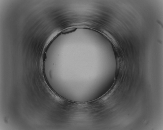 X0000091201196200709061407