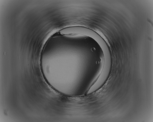 X0000091201197200709061407