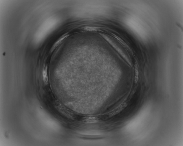 X0000091201198200709061407