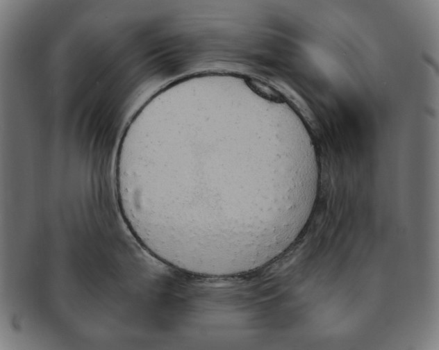 X0000091201199200709061407