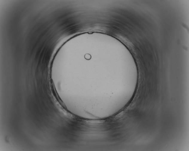 X0000091201200200709061407