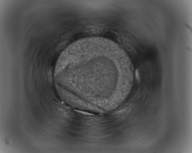X0000091201203200709061406