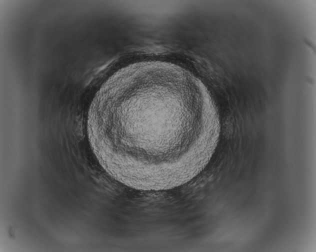 X0000091201205200709061406
