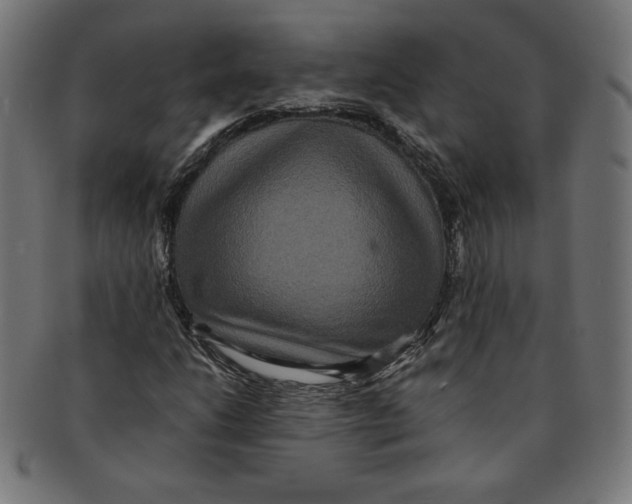 X0000091201206200709061406