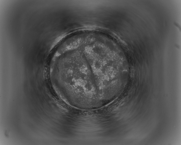 X0000091201208200709061406