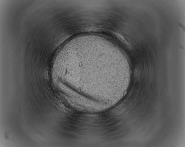 X0000091201209200709061406