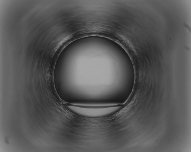 X0000091201210200709061406