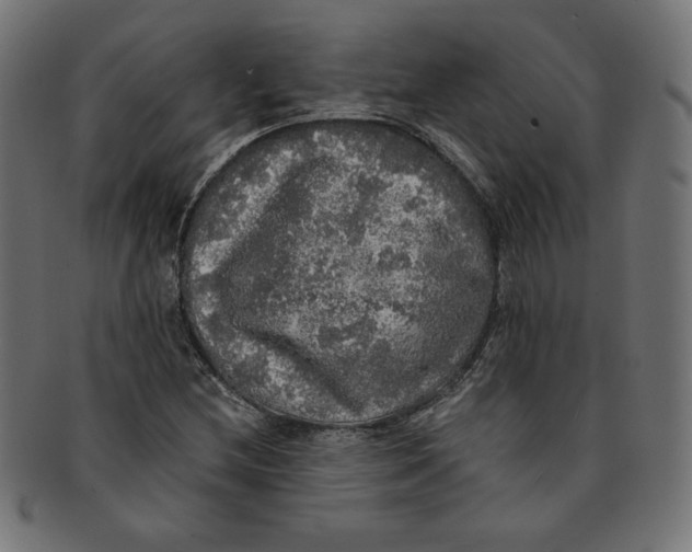 X0000091201212200709061406