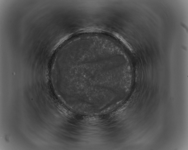 X0000091201213200709061406
