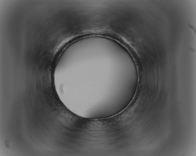 X0000091201214200709061406