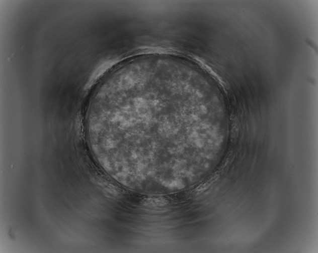 X0000091201215200709061406