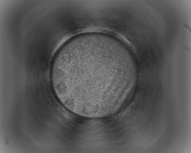 X0000091201216200709061406