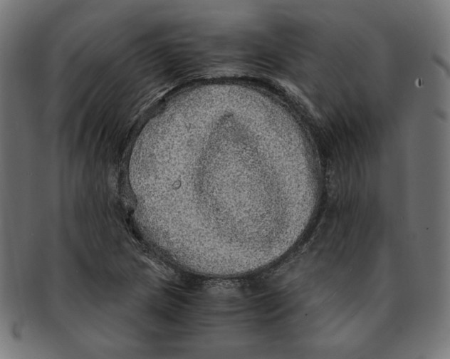 X0000091201217200709061406