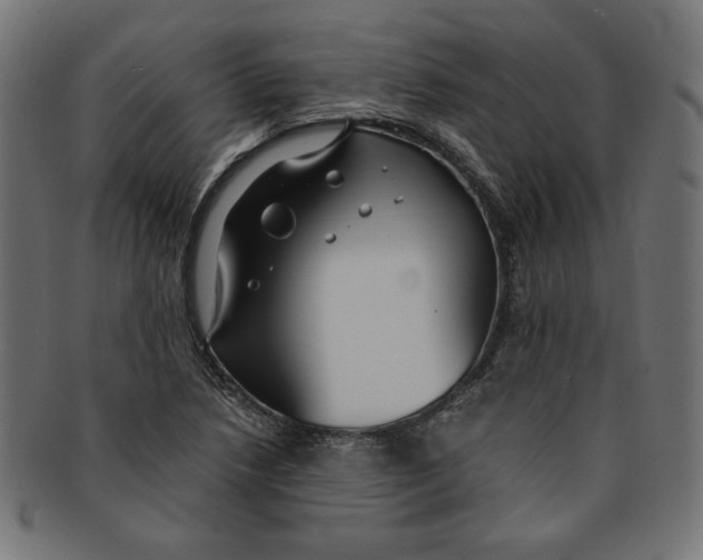 X0000091201218200709061406