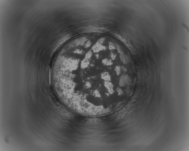 X0000091201219200709061406