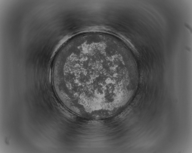 X0000091201224200709061406