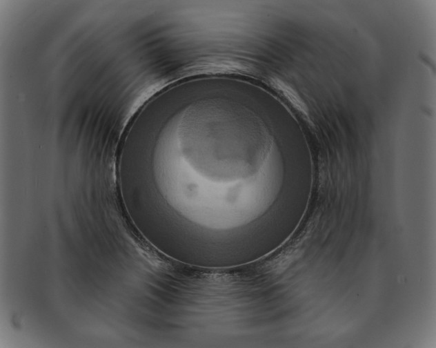 X0000091201226200709061406