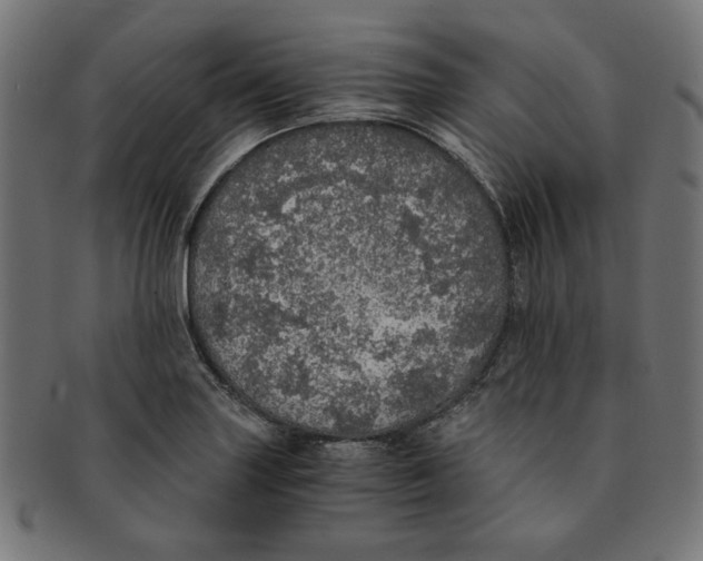 X0000091201227200709061406