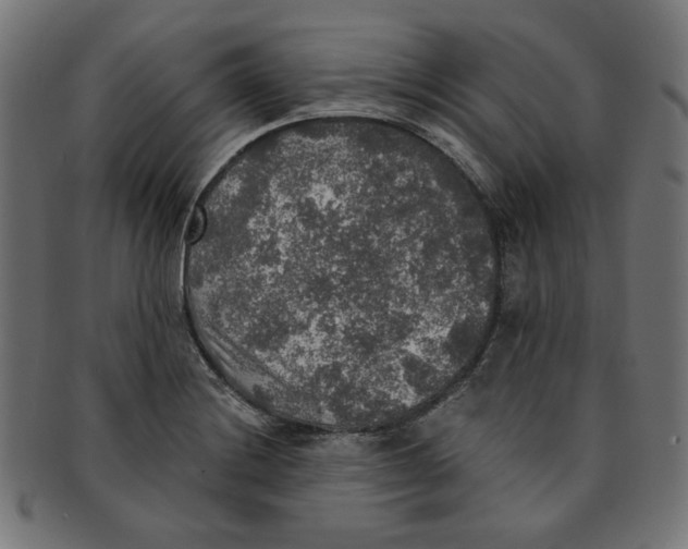 X0000091201228200709061406