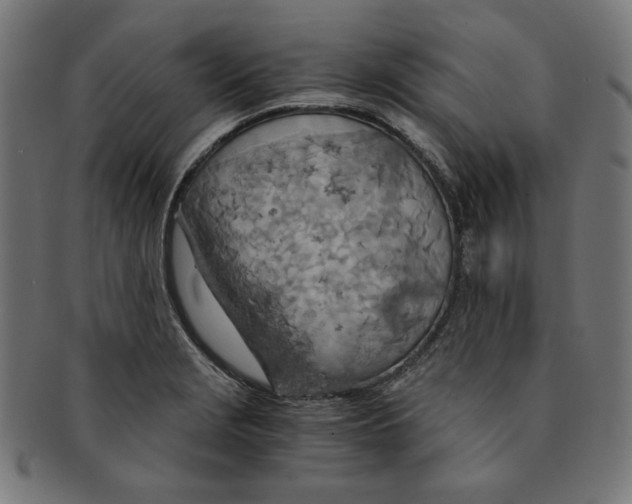 X0000091201229200709061406