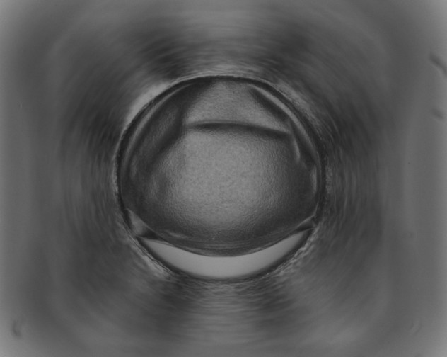 X0000091201230200709061406
